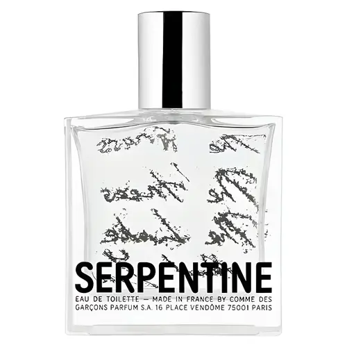 Serpentine-Comme-des-Garcons.webp Serpentine Comme des Garcons - Image 1